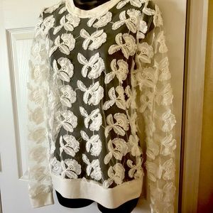 Piperlime Collection Sheer, long sleeve, crew neck, with embroidered flowers